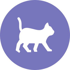 Katzen-Typ