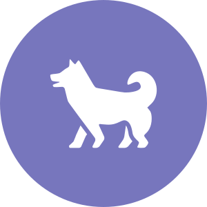 Hunde-Typ