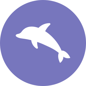 Delfin-Typ