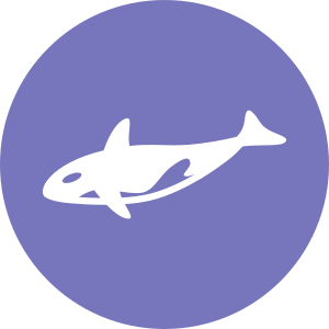 Orka-Typ