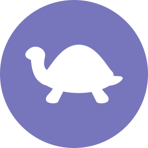 Schildkröten-Typ