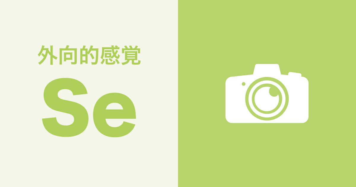 Se（外向的感覚）