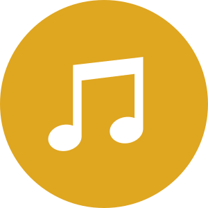 Musical Intelligence