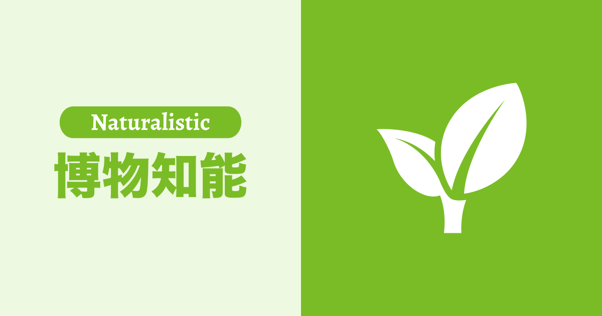 博物知能